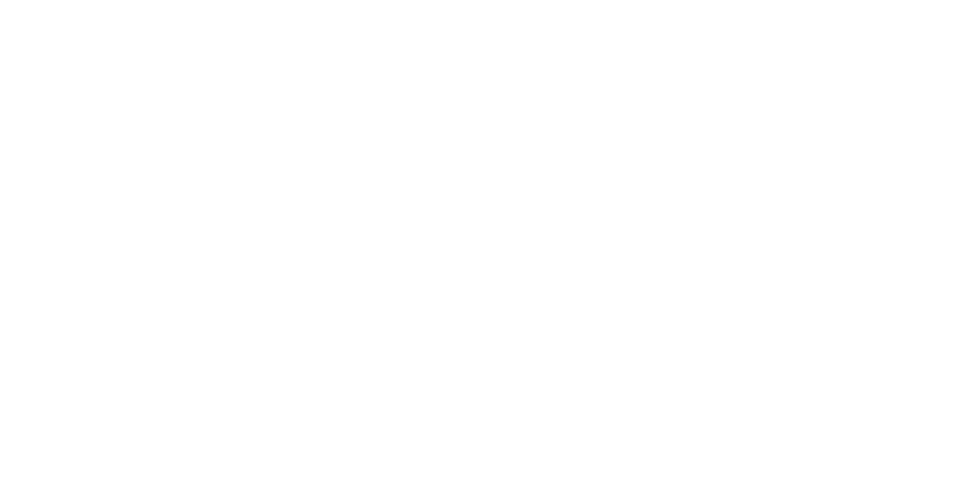 Georgia Aquarium Inc