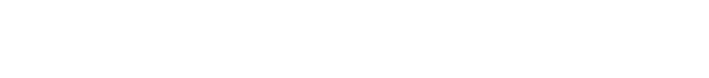 Specialist Staffing Solutions